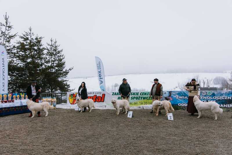 Dom Ludowy pq5a1702--mini